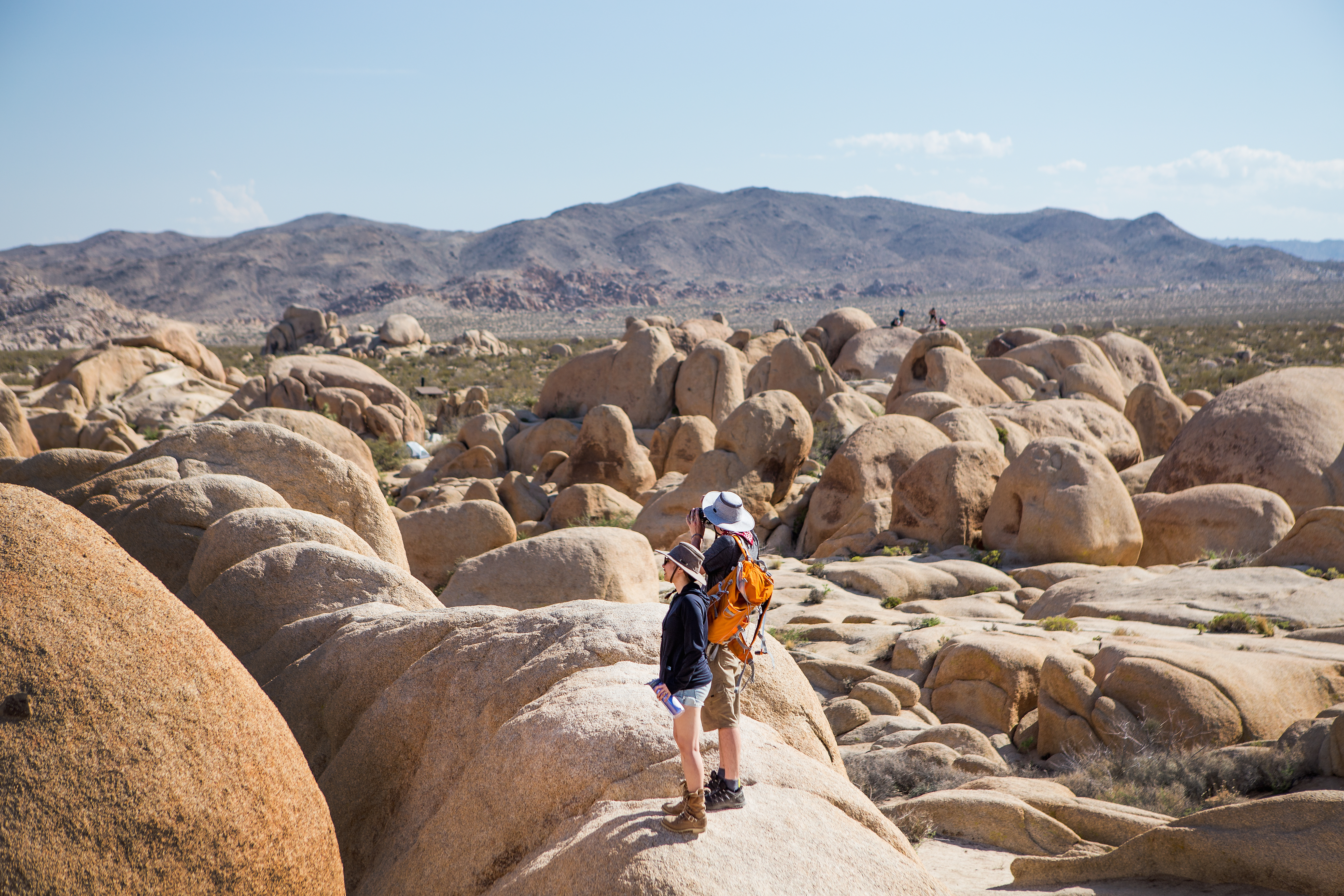 Hikers in Joshua Tree National Park